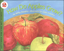 HOw do appleas grow