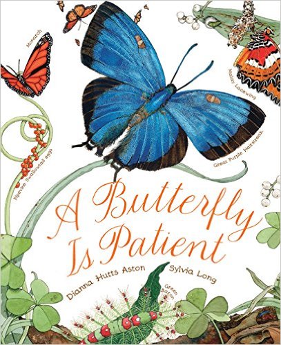 A Butterfly is patient