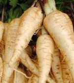 parsnips