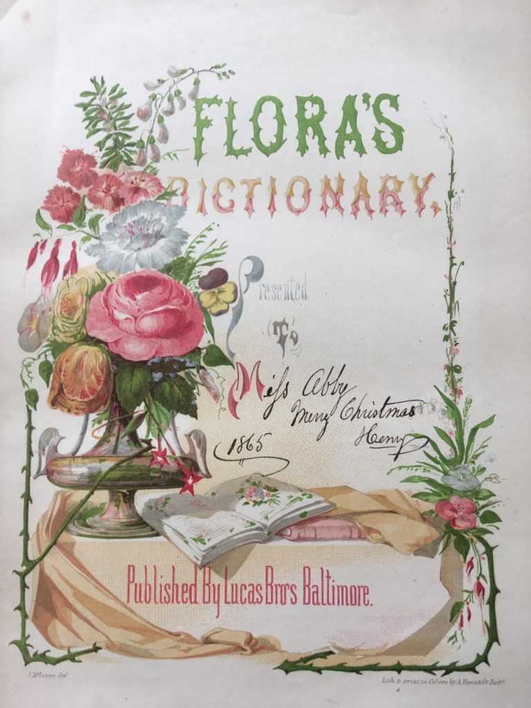 The Language of Flowers Introduction