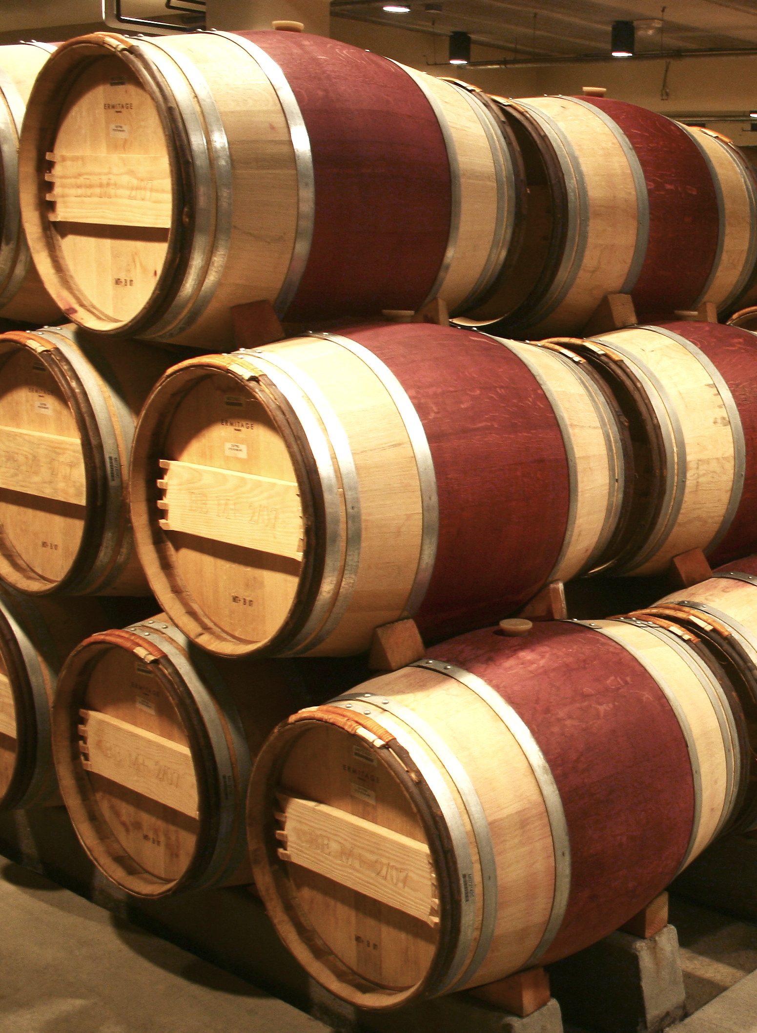 Old Time Recipes for Home Made Wines Sham Champagne