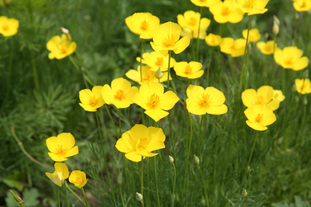 This image has an empty alt attribute; its file name is image-118-1024x682.png