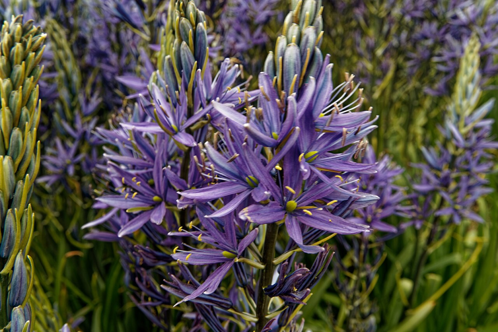 This image has an empty alt attribute; its file name is image-36-1024x682.png