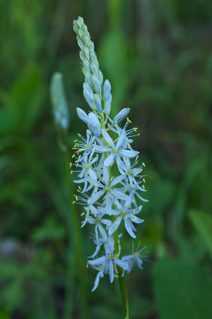 This image has an empty alt attribute; its file name is image-39-680x1024.png