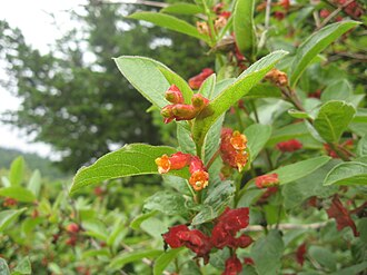 This image has an empty alt attribute; its file name is image-9.png