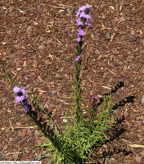 This image has an empty alt attribute; its file name is image-13-e1728403156642.png