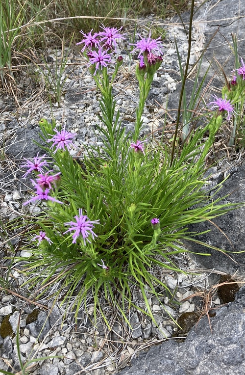 This image has an empty alt attribute; its file name is image-7-e1727784365166.png